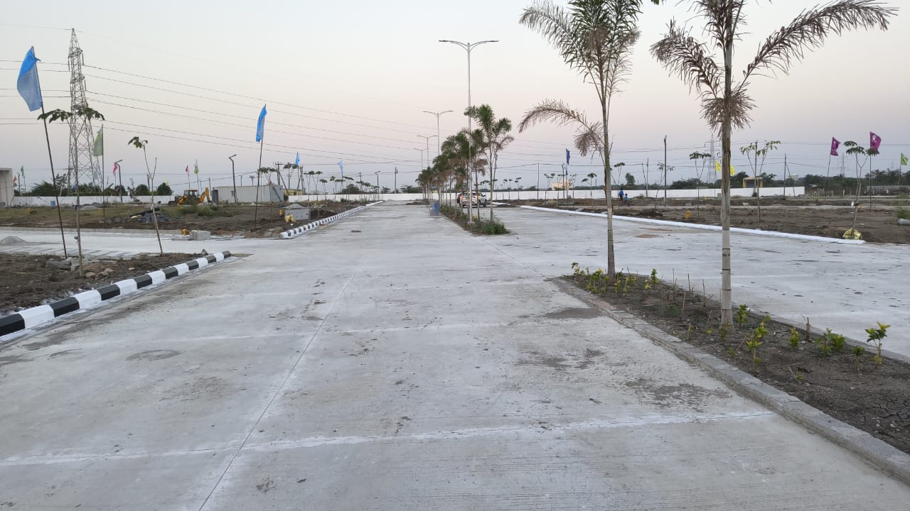 Site photo — plot markers & flags
